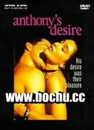 日本中文字幕在线视频