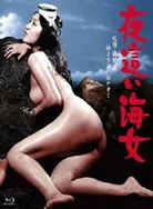 日本丰满少妇高潮呻吟